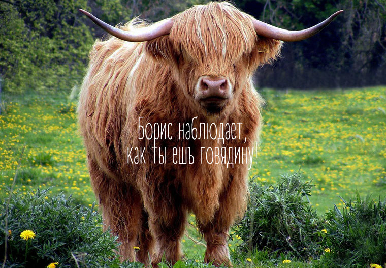 Что можно есть, а что нельзя