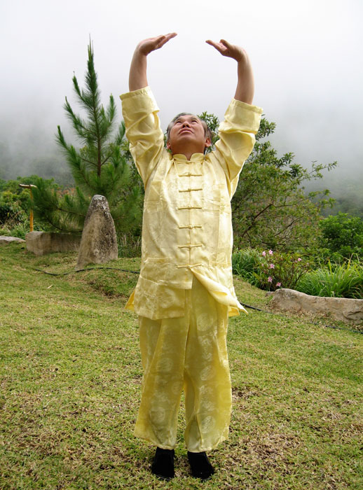 Золотые Упражнения Цигун — Подъем Неба